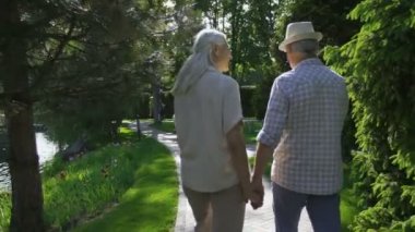 Üst düzey çift parkta yürüyüş sırasında kucaklayan