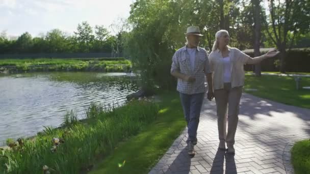 Beau couple de personnes âgées marchant dans le parc d'été — Video