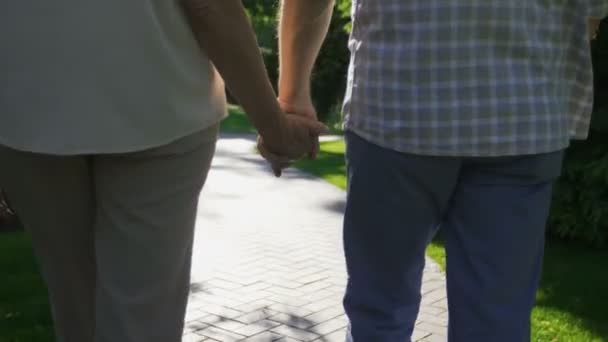 Closeup casal sênior de mãos dadas durante uma caminhada — Vídeo de Stock