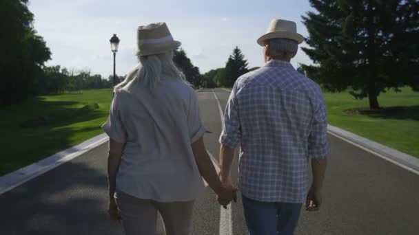 Elegante pareja de ancianos caminando cogidos de la mano — Vídeos de Stock