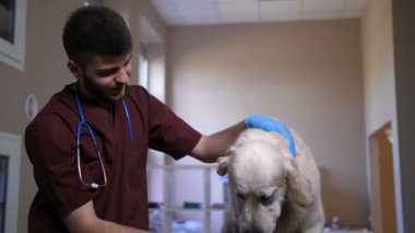 Portre erkek veteriner okşayarak köpek Kliniği
