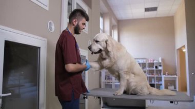Pençeleri köpek hasta ile evde beslenen hayvan Kliniği'nde sallayarak veteriner