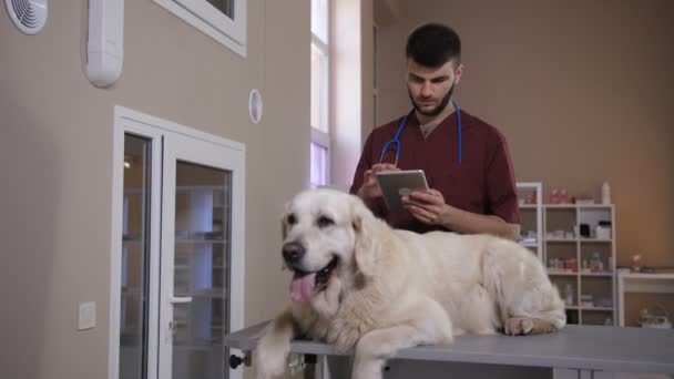 Dierenarts werken op digitale tablet pc bij kliniek — Stockvideo