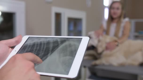 Nahaufnahme Tierarzt Hände mit Hunden Röntgen auf Touchpad — Stockvideo