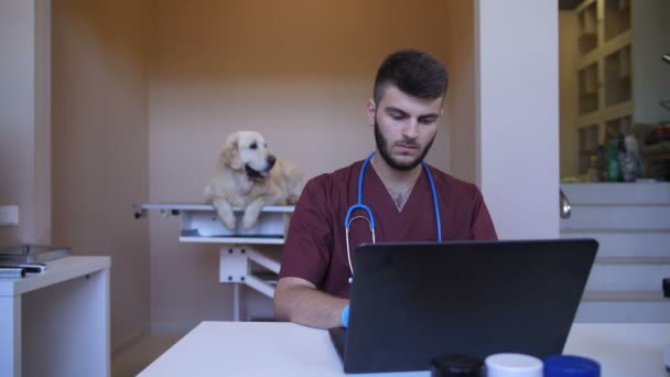 Dierenarts arts met behulp van laptop het voorschrijven van medicatie — Stockvideo