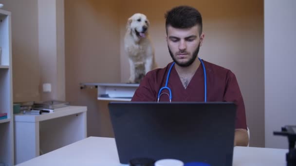 Young veterinarian typing on laptop at pet clinic — Stock Video