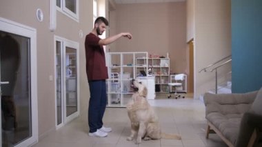 Arka ayakları üzerinde durmak için veteriner eğitim köpek