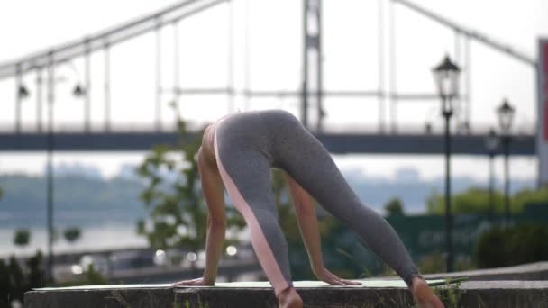 Postura flexible de mayurasana femenina — Vídeos de Stock