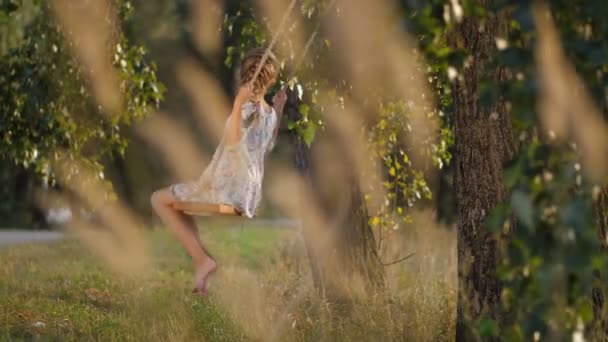 Fille mignonne sur swing profiter de la journée d'été au coucher du soleil — Video