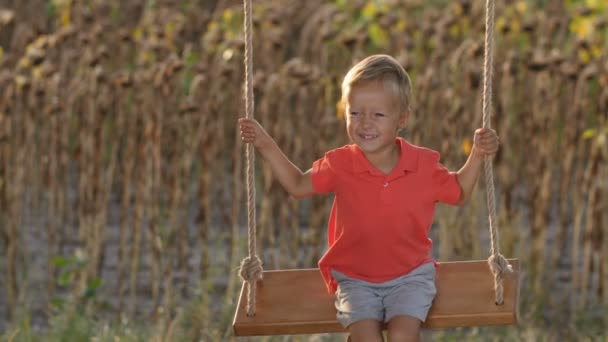 Захоплений маленький хлопчик на гойдалці на дереві влітку — стокове відео