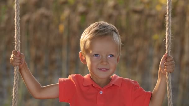 Портрет милого мальчика на качелях на закате — стоковое видео