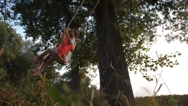 Emocionados hermanos volando en columpio de cuerda al atardecer — Vídeos de Stock