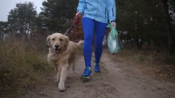 Kvinnliga löpare plocka upp skräp i höst skog — Stockvideo