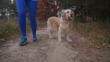 Runner kadın ile köpek sabahı dürtmek doğada