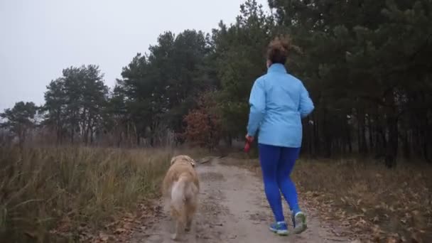 Fêmea corredor trilha com pet jogging na madeira — Vídeo de Stock