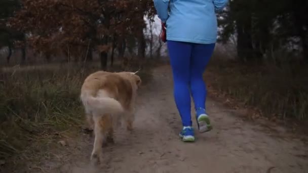 Aktives gesundes Mädchen läuft mit Hund im Freien — Stockvideo