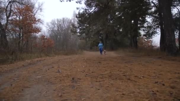 Спортивная женщина бегает с собакой в осеннем лесу — стоковое видео
