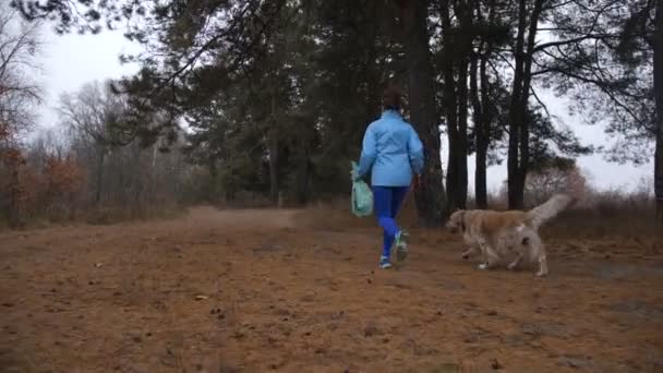 Eco mulher amigável com animal de estimação fazendo plogging em madeira — Vídeo de Stock