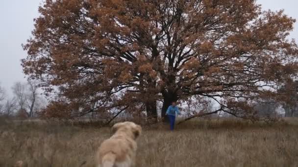 Feliz cão bonito correndo para proprietário feminino ao ar livre — Vídeo de Stock