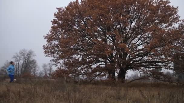 Donna che fa jogging in natura lavorando fuori con il suo cane — Video Stock