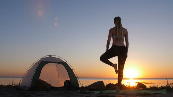 Mujer realizando árbol yoga pose mientras acampa — Vídeos de Stock