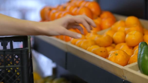 Female hand placing fresh tangerines on store shelf — Stock Video