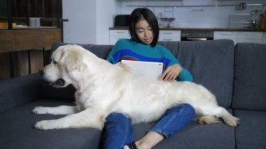 Köpek Hint sahibi tablet izlerken dizinin üstüne yatıyor
