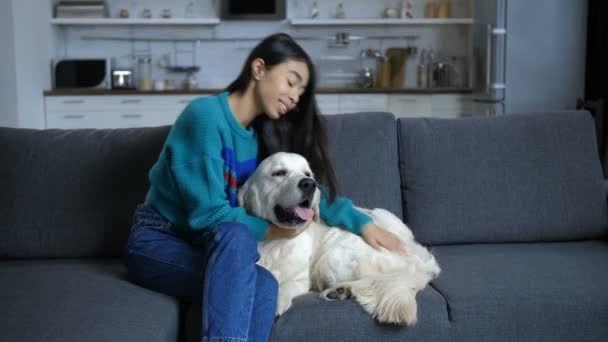 Mujer india joven hablando con el perro en casa — Vídeo de stock