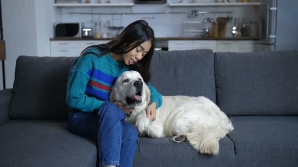 Una Amiga Cuatro Patas Una Pata Amante Dueño Pone Cabeza — Vídeos de Stock