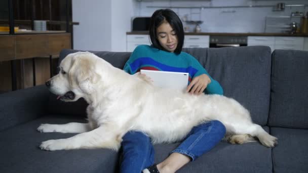Cão encontra-se de joelhos do proprietário indiano assistindo tablet — Vídeo de Stock
