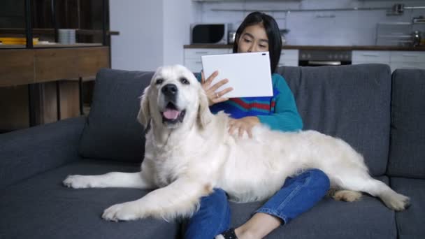 Joven hindú mujer viendo tableta y acariciando perro — Vídeo de stock