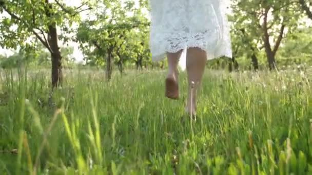 Pieds nus femmes jambes marchant sur l'herbe verte — Video