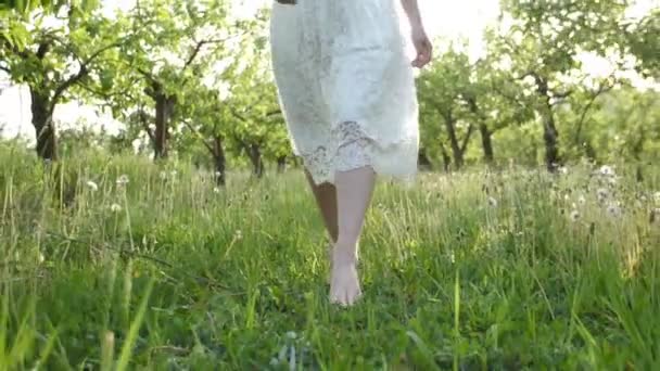 Smooth barefoot female legs walking on juicy grass — Stock Video