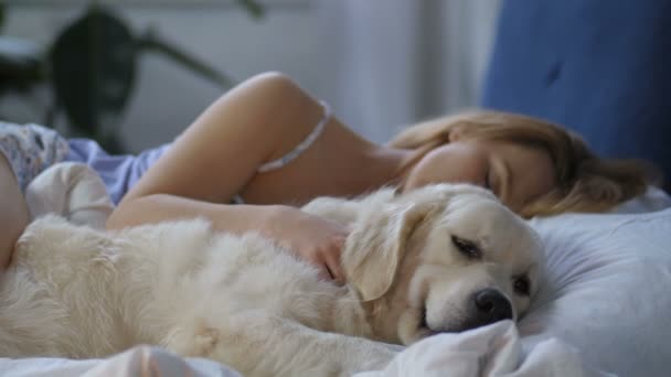 Cane paziente in attesa di risveglio del proprietario donna — Video Stock