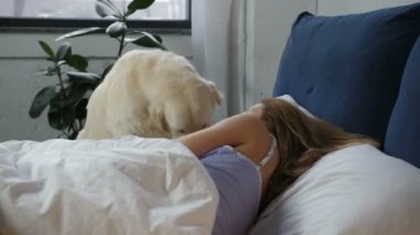 Sevgi yalama köpek uyanış kadın sahibi
