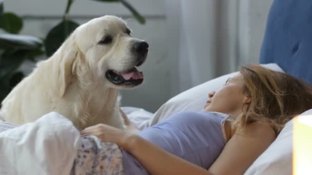 Verdadero perro amigo esperando el despertar del dueño de la mascota — Vídeos de Stock