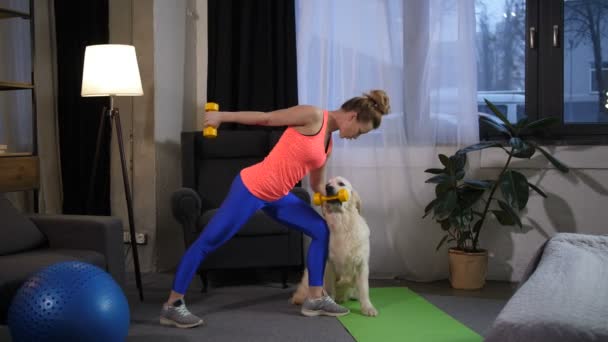 Deportiva mujer en forma con brazos de entrenamiento asistente de perro — Vídeo de stock