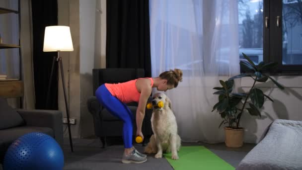 Slim feminino fazendo exercício desportivo com cão treinador — Vídeo de Stock