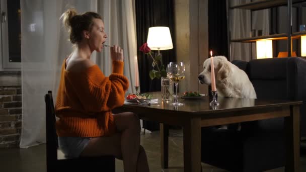 Souper des meilleurs amis : jolie femme et chien mignon — Video