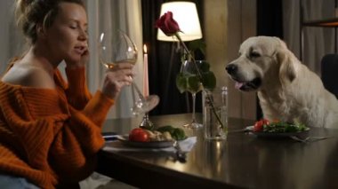 İki kişi için romantik akşam yemeği kadın ve köpek Pet