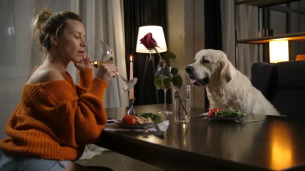 Liefdevolle vrouwelijke eigenaar verhogen van glas voor de gezondheid van huisdieren — Stockvideo