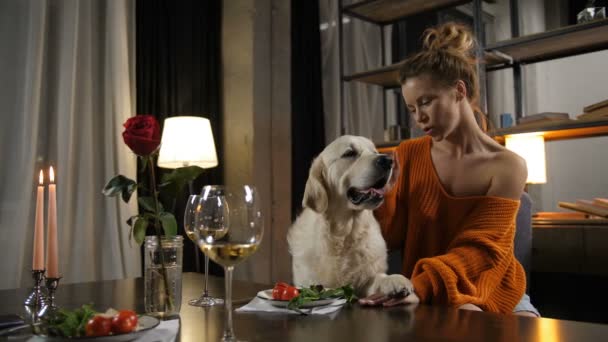 Elegante mujer cariñosa abrazando a su perro mascota en el interior — Vídeos de Stock