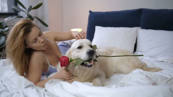 Agradecida propietaria acariciando perro por rosa en la cama — Vídeo de stock