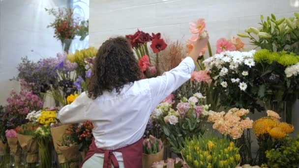 Floristería profesional eligiendo flores para ramo — Vídeos de Stock
