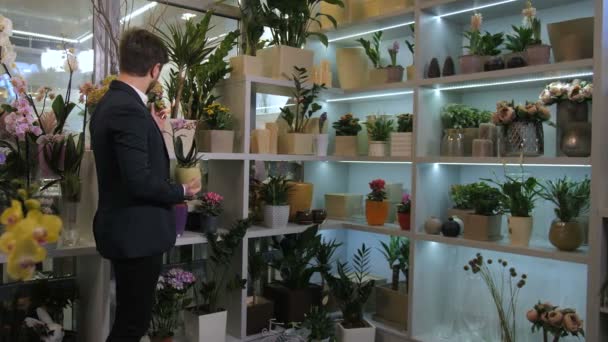 Floristical salon customer choosing potted flowers — Stock Video