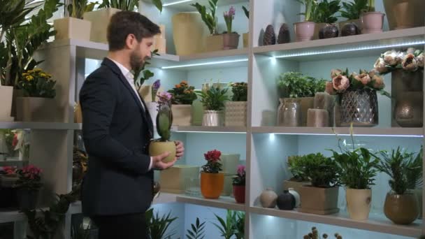 Beundrande klient tittar på blommor som växer i krukor — Stockvideo