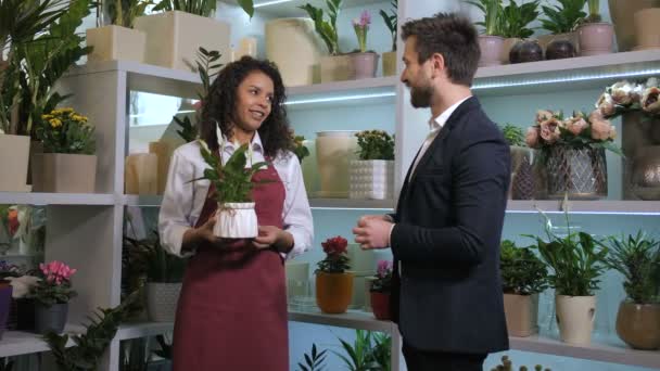 Bonito florista oferecendo cliente para comprar planta em vaso — Vídeo de Stock