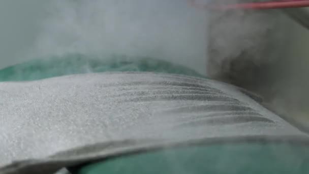 Professionell ångning av plagget i kemtvätts- — Stockvideo