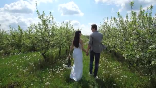 Glückliches Paar, das Hand in Hand zwischen Bäumen spaziert — Stockvideo