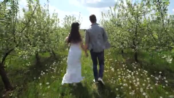 Pareja enamorada corriendo de la mano en el huerto — Vídeos de Stock